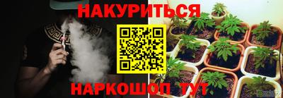 каннабис Кингисепп