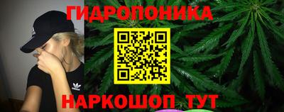каннабис Кингисепп